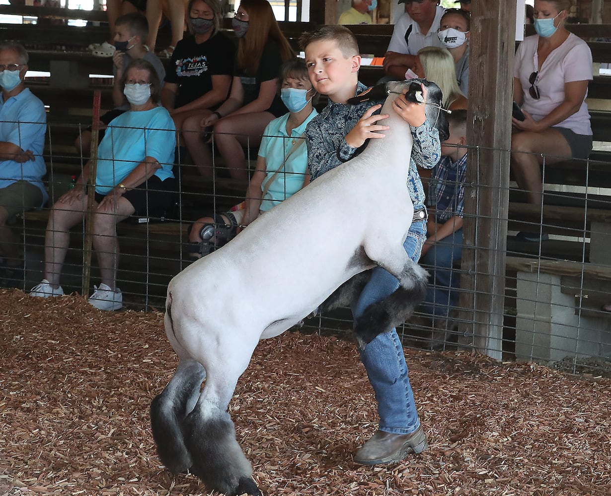 Clark County Fair