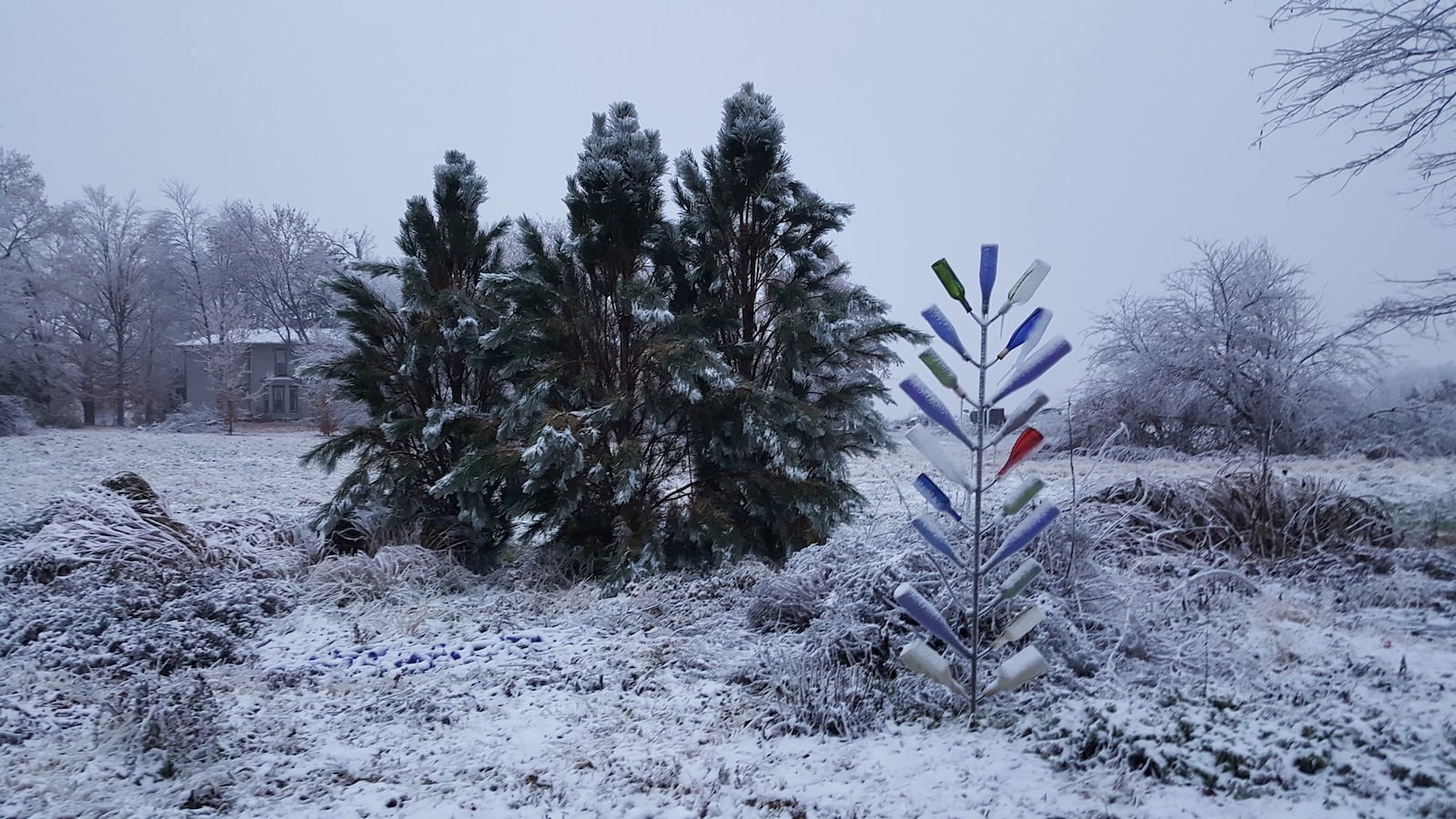 Let ice melt otherwise removing it may break branches.