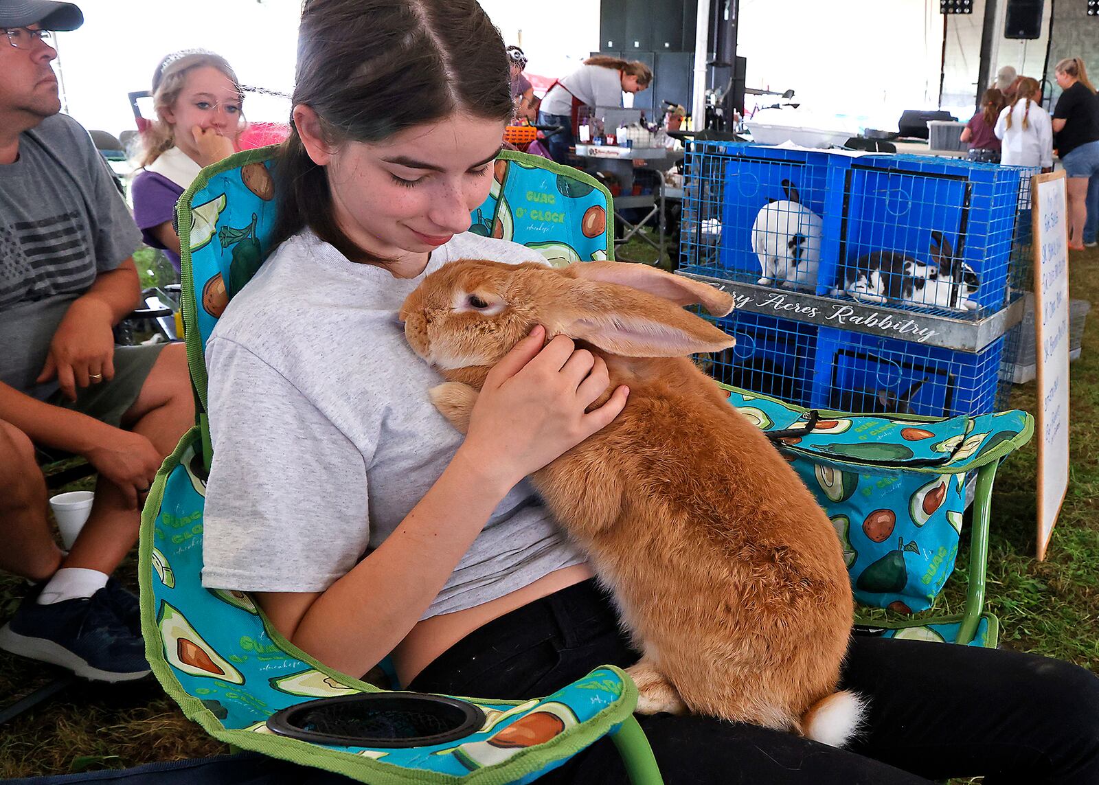 Madi Benetrix holds her Flemish Giant rabbit Sunday, July 23, 2023 during the Open Class Rabbit Show at the Clark County Fair. BILL LACKEY/STAFF