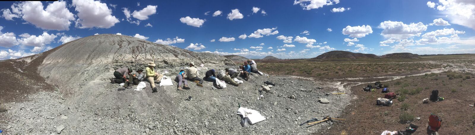 Paleontologists from Petrified Forest National Park and Virginia Tech digging for fossils at the Thunderstorm Ridge site where Funcusvermis gilmorei was discovered. PHOTO BY BEN KLIGMAN