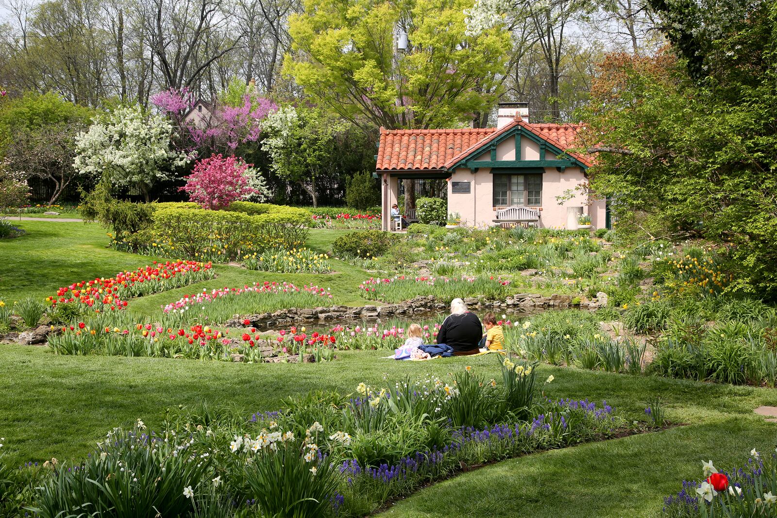 It’s tulip time at Smith Memorial Gardens in Oakwood. The garden, located on less than an acre at the corner of Oakwood Avenue and Walnut Lane, is alive with colorful spring blooms. The landscape has an assortment of plants that attract butterflies and birds while a small garden house and pond adds to the picturesque scene. LISA POWELL / STAFF