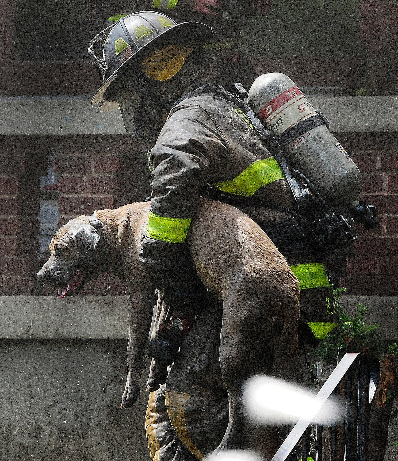 Three houses were destroyed by fire Tuesday, July 2, 2024, in the 100 block of Delaware Avenue. No one was home but a dog was rescued from one house and was given water and oxygen. 