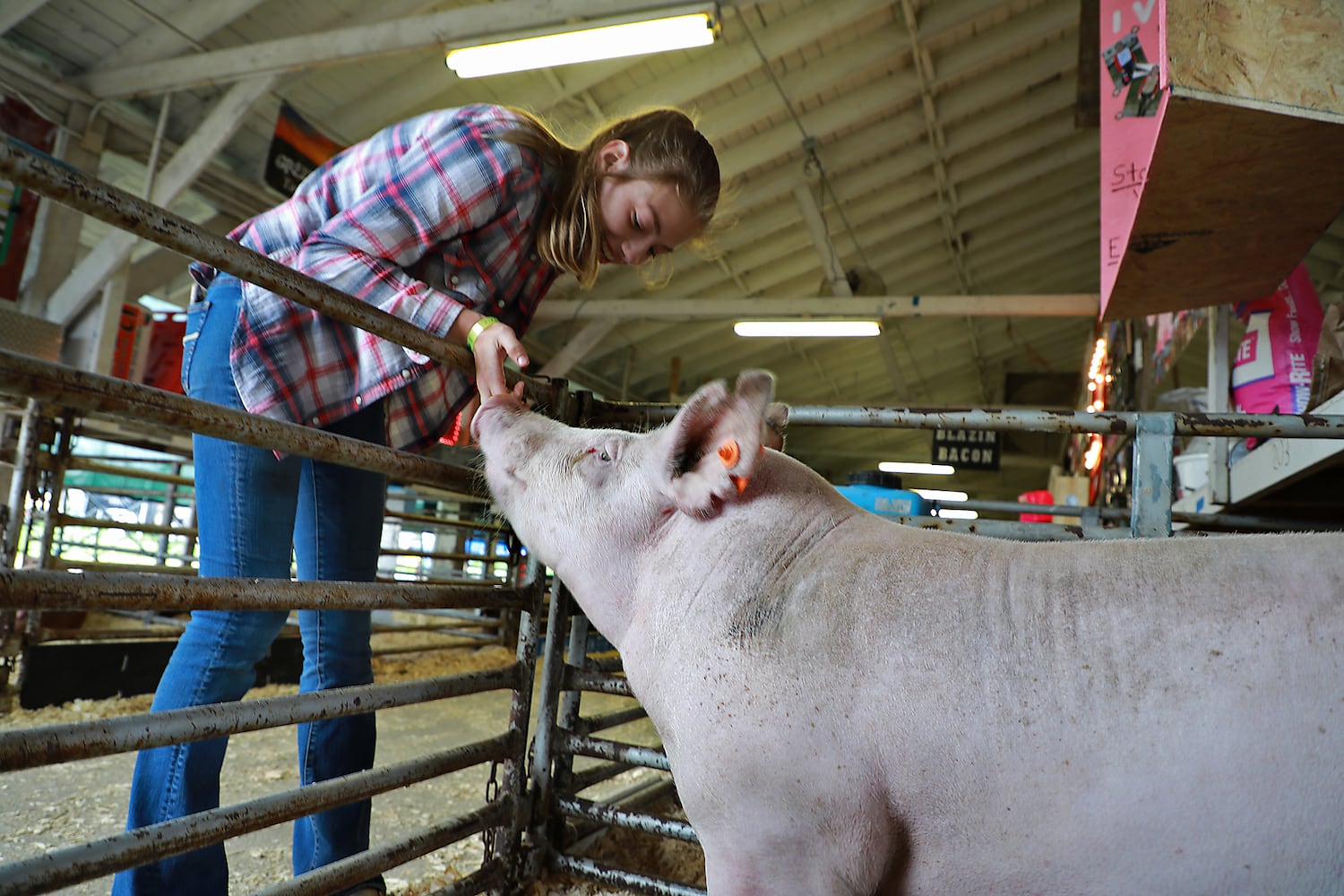 85 PHOTOS: 2019 Clark County Fair