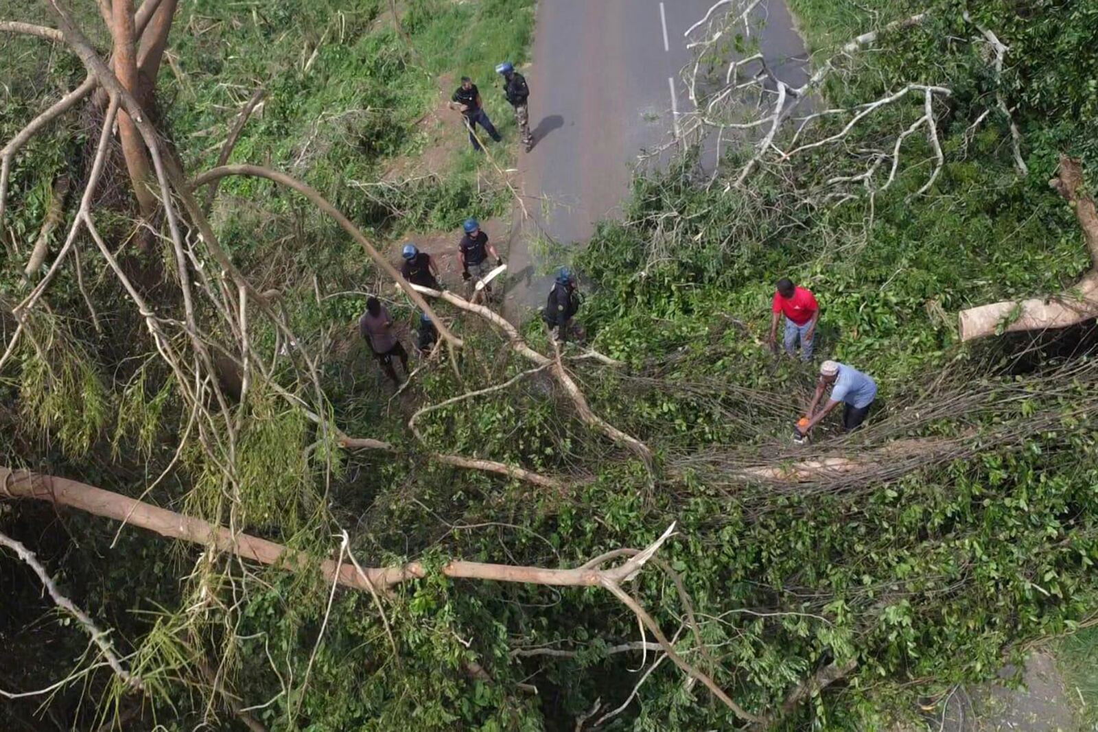 This photo provided on Monday Dec.16, 2024 by the Gendarmerie Nationale, shows members of the Gendarmerie Nationale sawing a tree that fell on a road Sunday, Dec. 15, 2024 in Mayotte as France rushed rescue teams and supplies to its largely poor overseas department in the Indian Ocean that has suffered widespread destruction. (Gendarmerie Nationale via AP)