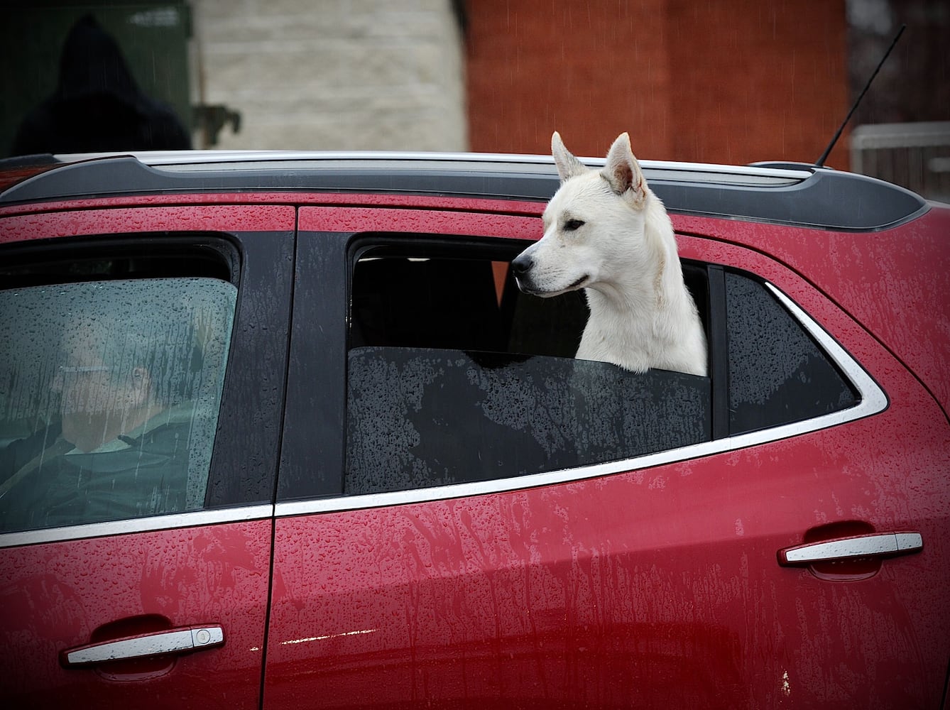 PHOTOS: Tecumseh AFJROTC Trunk-or-Treat