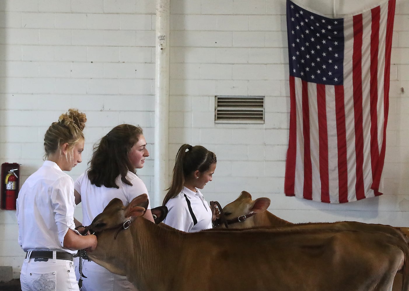 Clark County Fair