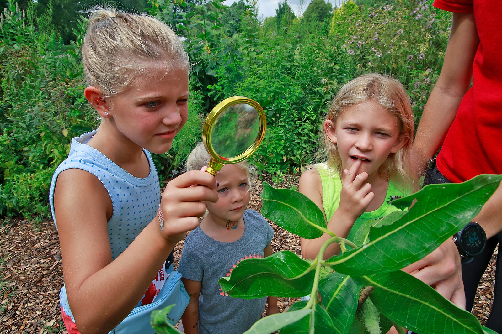 Annie Williamson, 7, and her sisters, Mae, 4, and Kate, 6, check out some insects in the pollinator garden Saturday, August 3, 2024 during the Snyder Park Gardens and Arboretum's Garden Jubilee. BILL LACKEY/STAFF