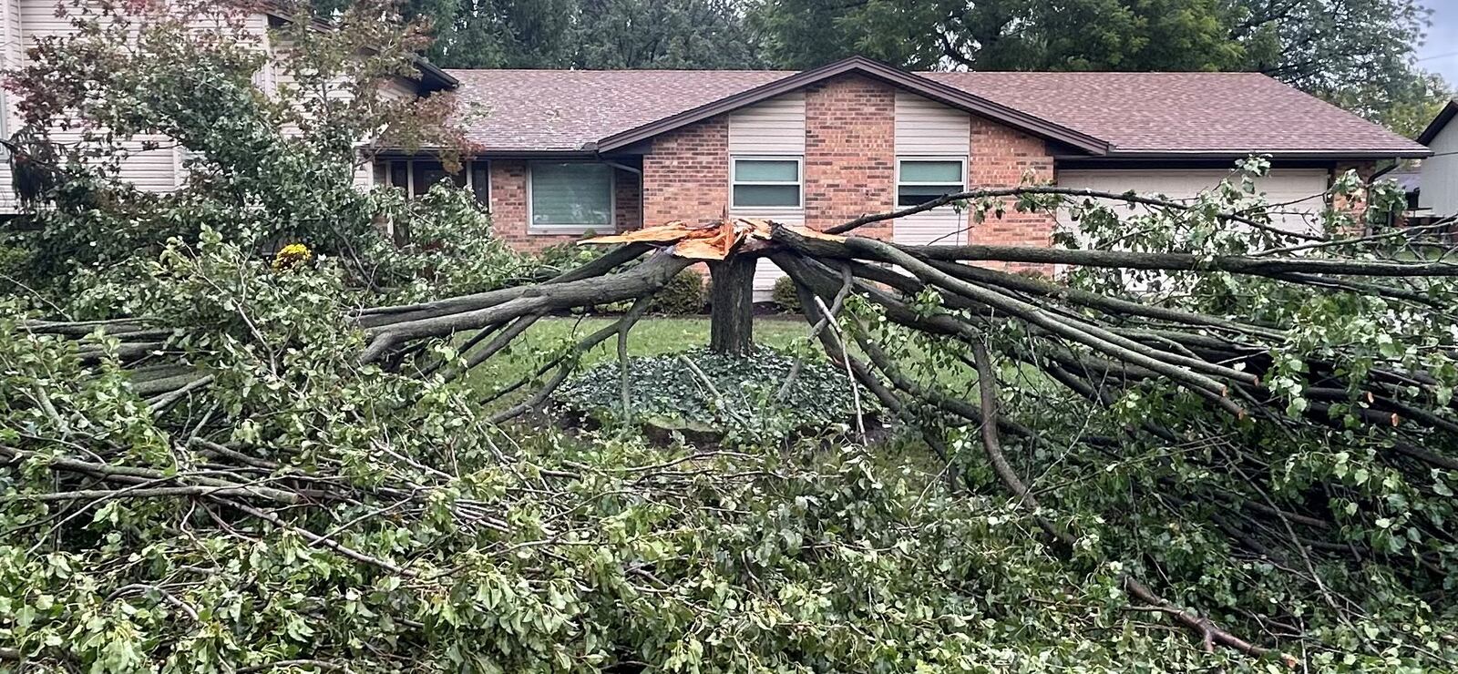 A tree at a home on Hyde Park Drive in Centerville was split into two Friday night, Sept. 27, 2024 after winds from remnants of Hurricane Helene swept through the area. Jeremy Kelley/Staff photo