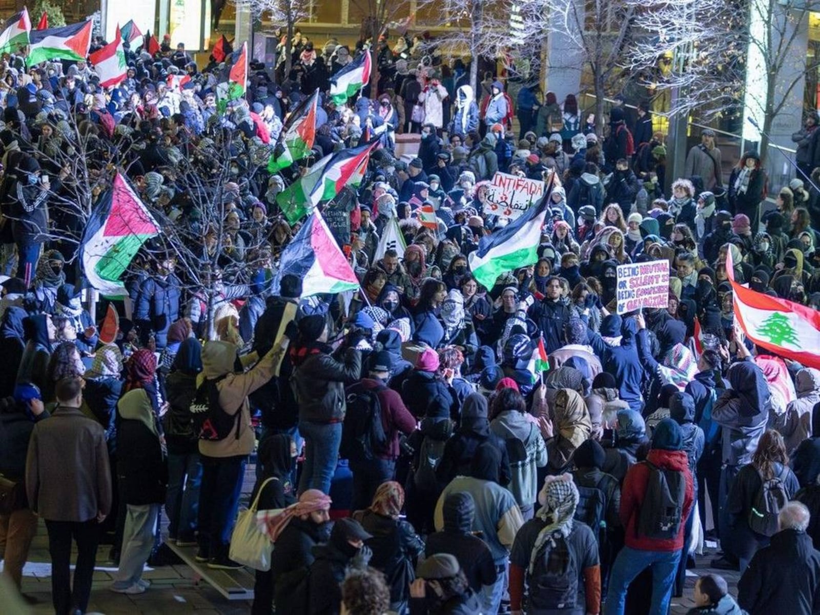 Demonstrators fill Ste-Catherine St. in front of Place des Arts in Montreal during protests during the NATO Parliamentary Assembly in November 2024.