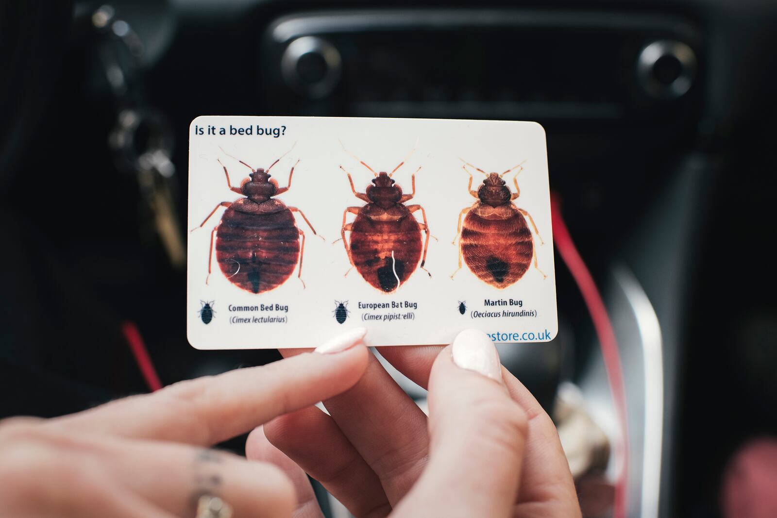  FILE — Emilie Gaultier, co-owner of Dogscan, a canine bedbug detecting company, shows a card that shows different kinds of bedbugs in Paris, Oct. 10, 2023. (Dmitry Kostyukov/The New York Times) 