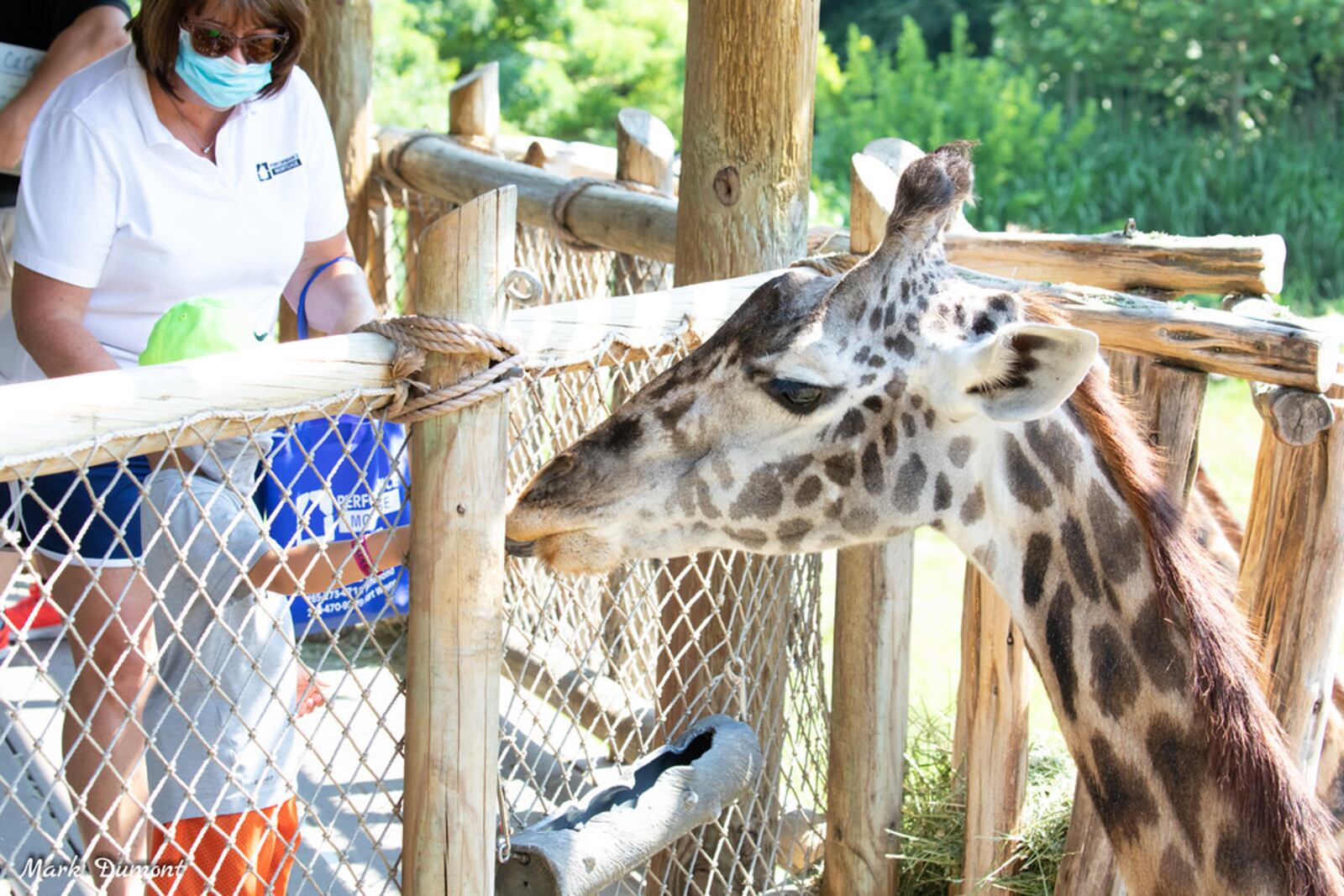 Guests interact with a giraffe at the Cincinnati Zoo & Botanical Garden. CONTRIBUTED