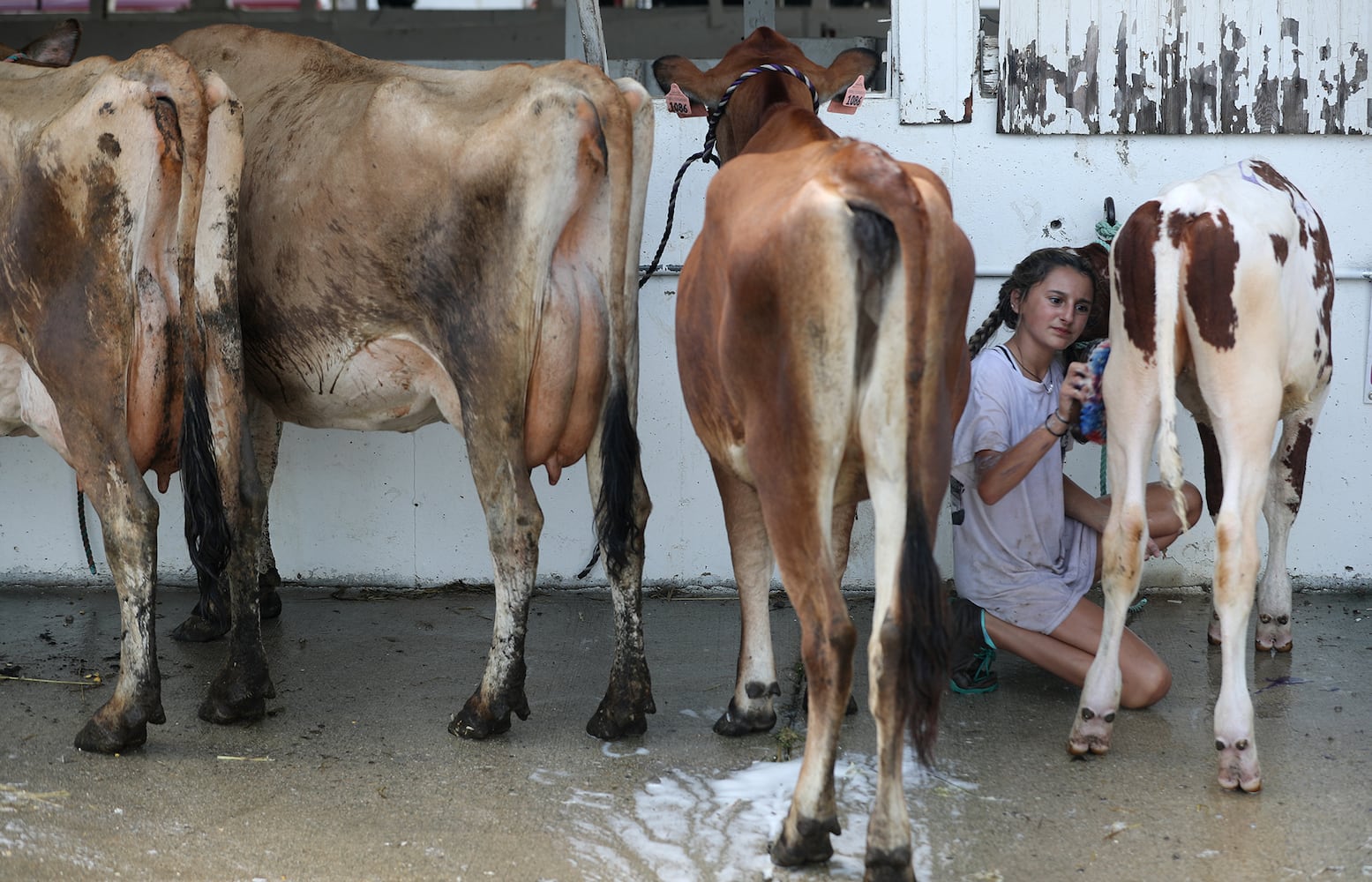 85 PHOTOS: 2019 Clark County Fair