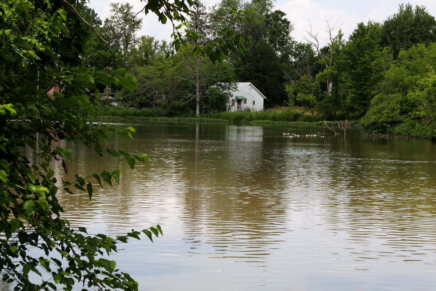 PHOTO: Clark County Rivers and Creeks