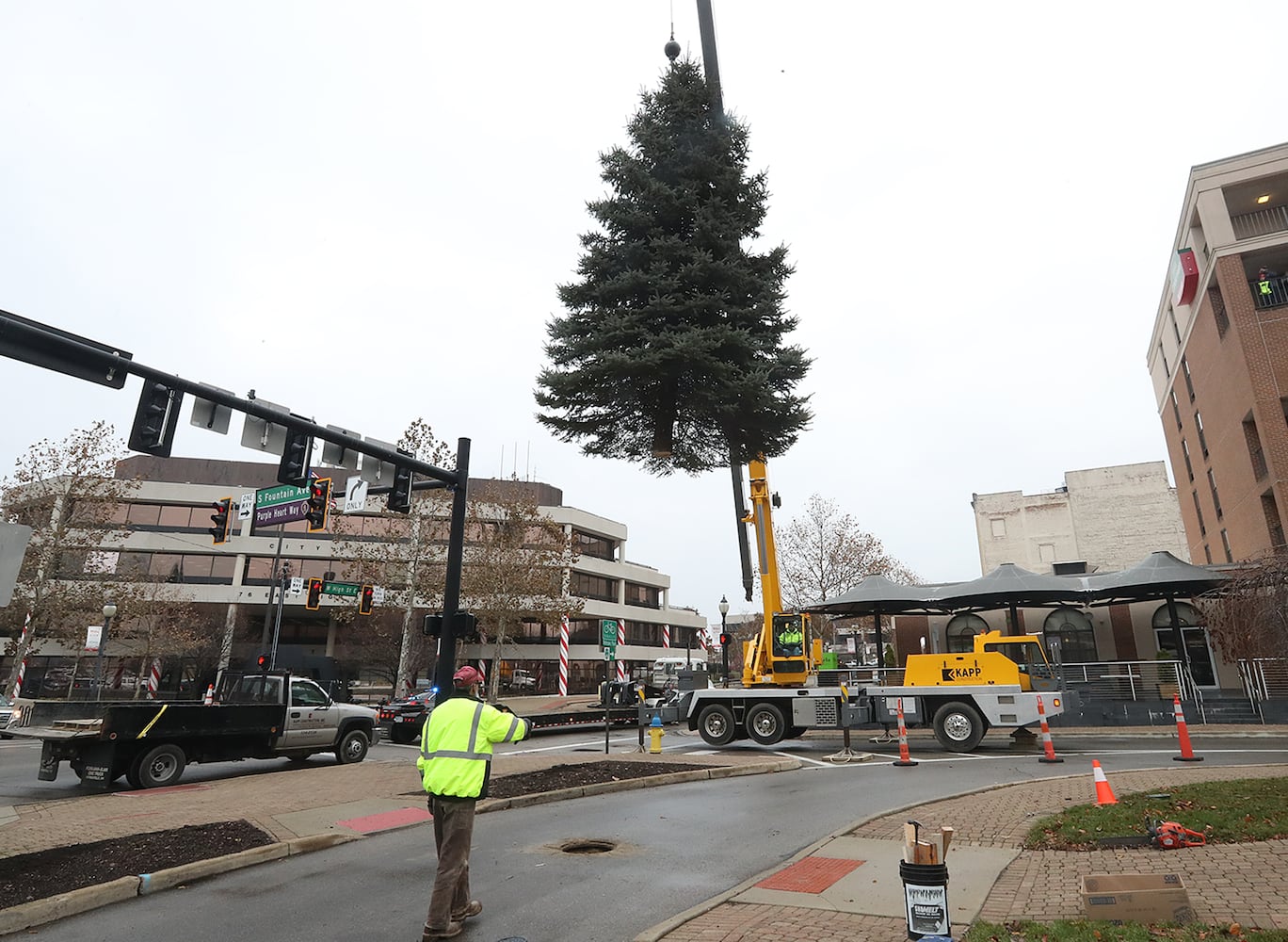 Springfield Gets Holiday Tree