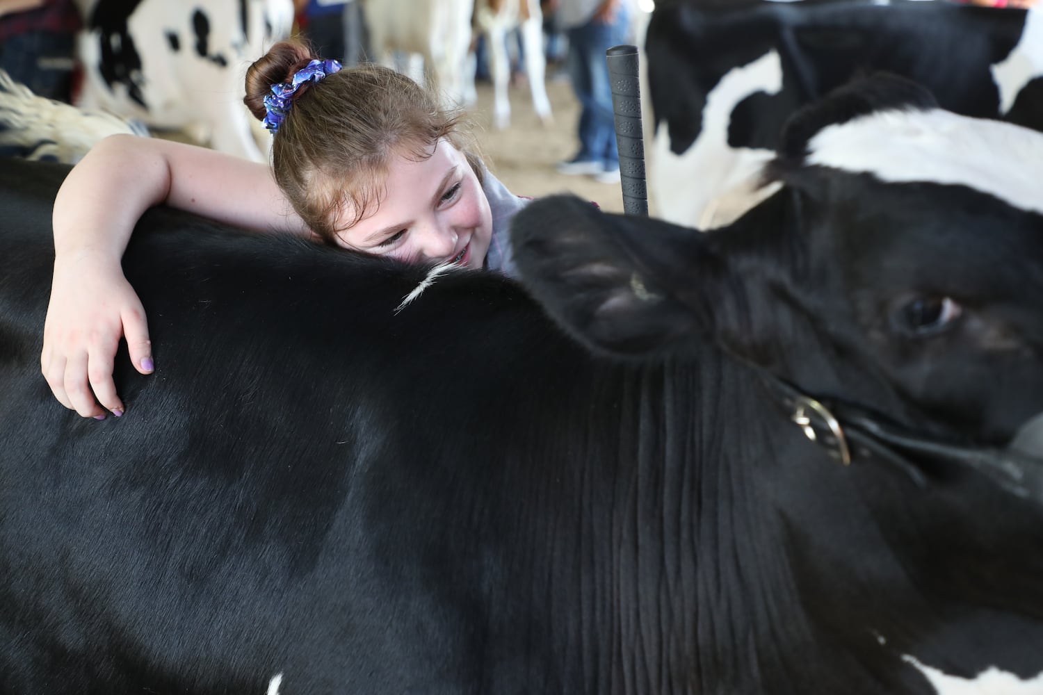 2018 Champaign County Fair Opens