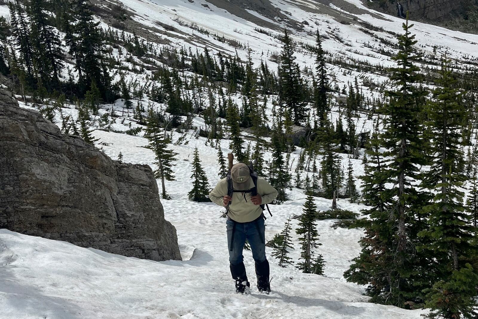 Josh Vega works as a forestry technician in the Bob Marshall Wilderness Complex in Montana in 2023. (Josh Vega via AP)