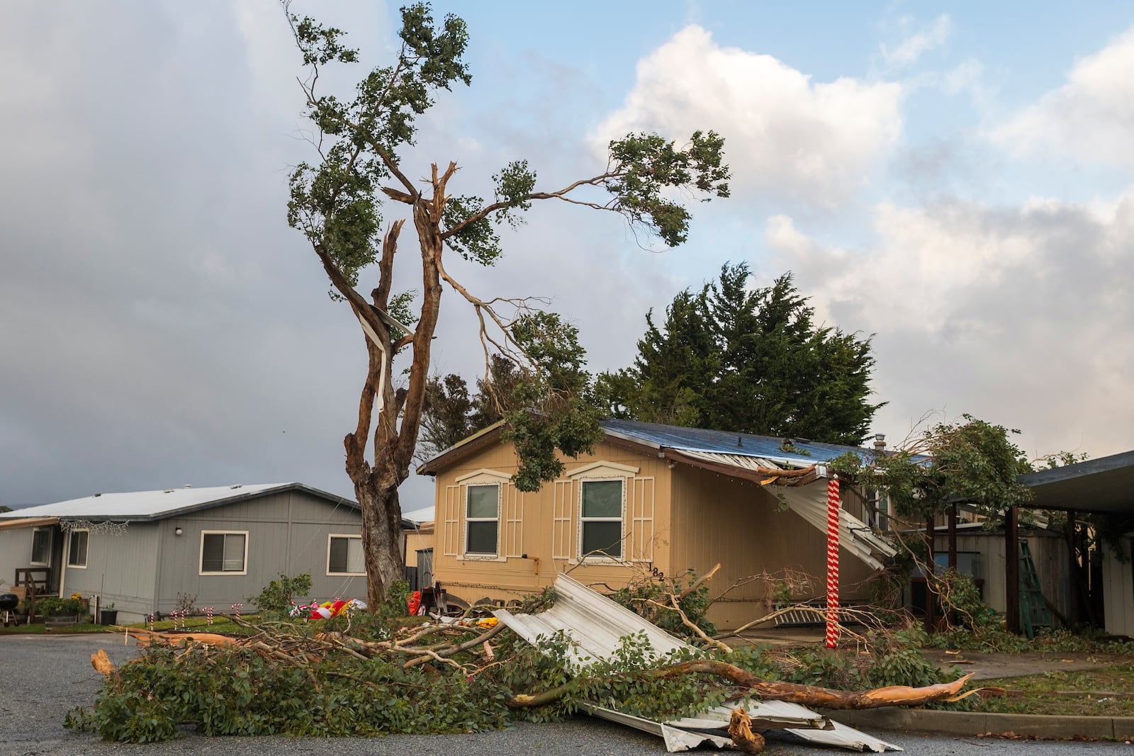 A large tree branch crashed into a garage near Coe Avenue in Seaside, Calif., Saturday, Dec. 14, 2024. (AP Photo/Nic Coury)