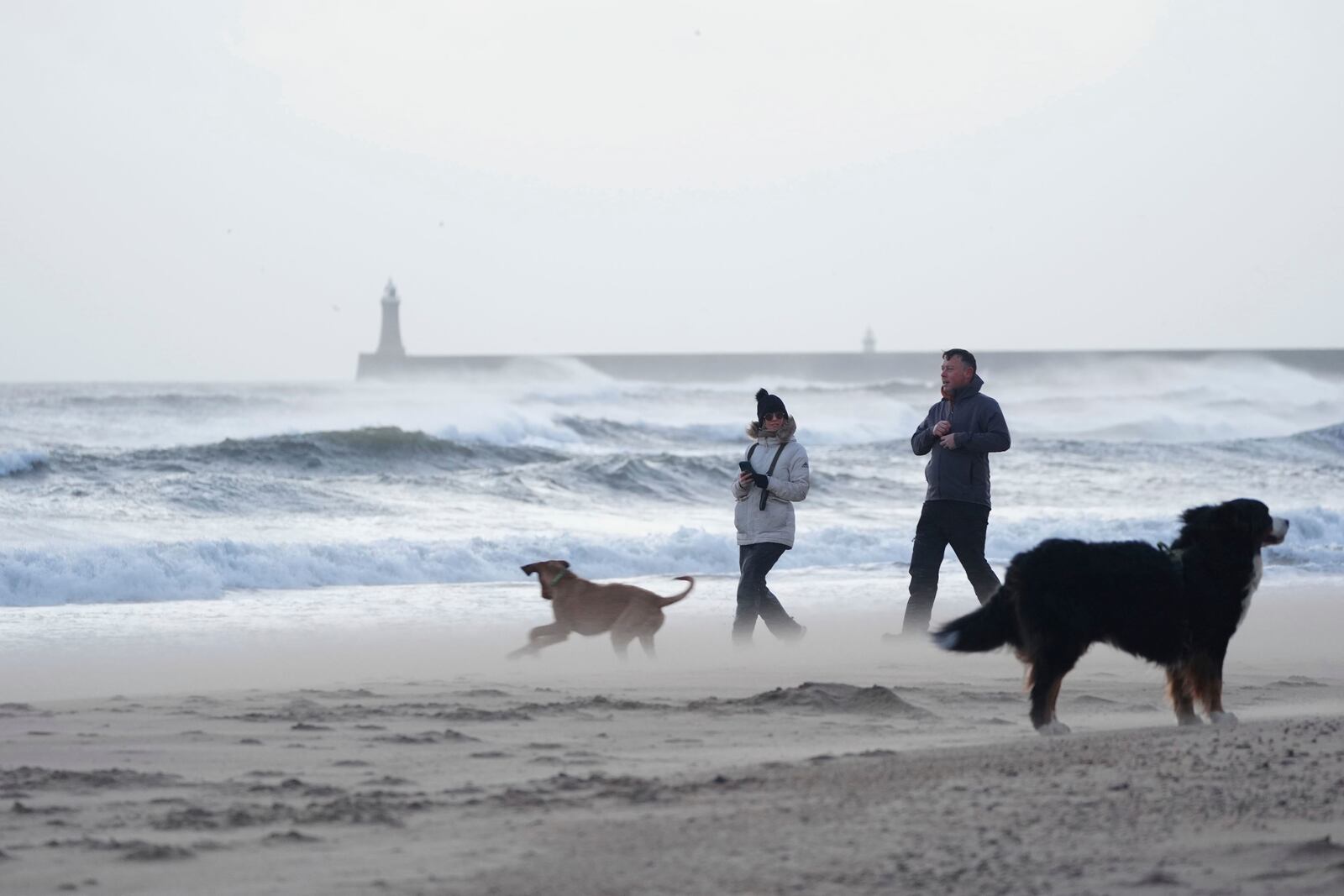 People walk their dogs at Tynemouth Longsands on the North East coast of England as sand is blown by the wind as Storm Eowyn hits the country, Friday Jan. 24, 2025. (Owen Humphreys/PA via AP)