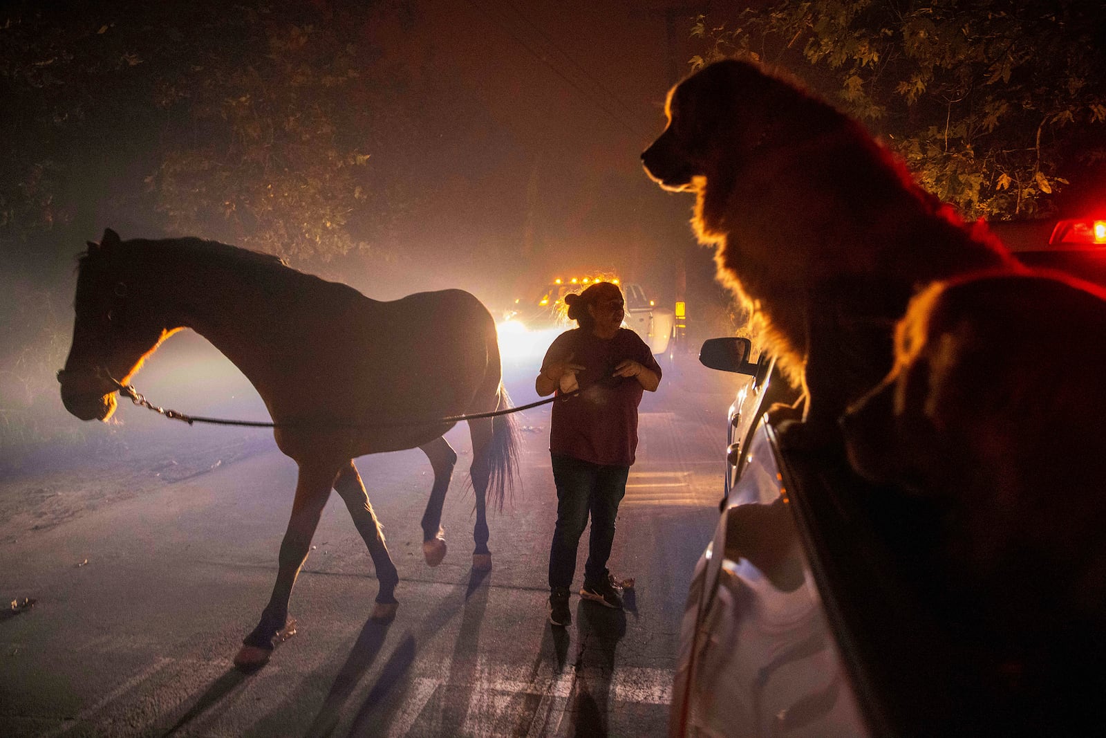 A woman evacuates a horse as the Franklin Fire burns in Malibu, Calif., on Tuesday, Dec. 10, 2024. (AP Photo/Ethan Swope)