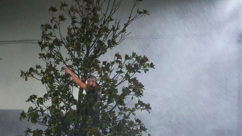 Chris Nation, of Commerce, Ga., climbs a tree and gestures while hanging out with coworkers outside the hotel where they are riding out Hurricane Milton, Wednesday, Oct. 9, 2024, in Tampa, Fla. Nation, who works for a towing company, was deployed with colleagues to Florida to aid in the aftermath of the storm. (AP Photo/Julio Cortez)