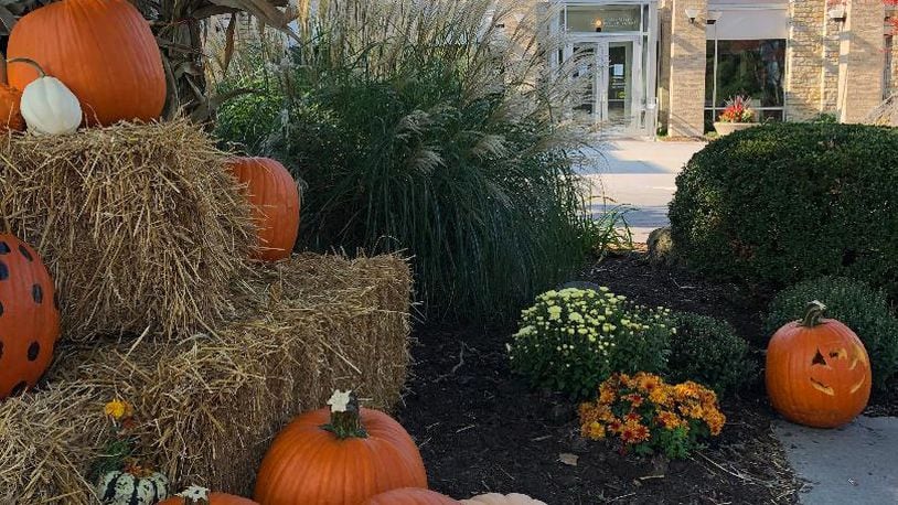 The Springfield Museum of Art will offer a new Halloween activity with its Pumpkin Path Walk, Oct. 28-30, which will feature carved jack-o-lanterns submitted by the public, a lighted path, food trucks and free admission to view the museum's galleries. BRETT TURNER/CONTRIBUTOR